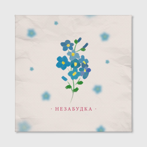 незабудка песня. белорусских незабудка. тима белорусских незабудка цветок. тима белорусских незабудка обложка. тима белорусских незабудка.