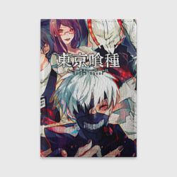 Обложка для автодокументов Tokyo Ghoul 5