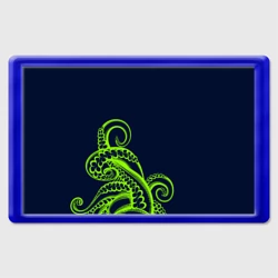 Магнит 45*70 Кислотный осьминожка