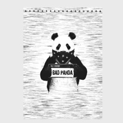 Скетчбук Bad Panda