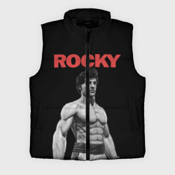 Мужской жилет утепленный 3D Rocky