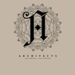 Мужской свитшот хлопок Architects - фото 2