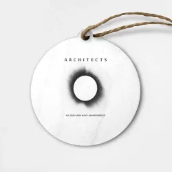 Деревянная игрушка круг Architects