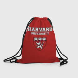 Рюкзак-мешок 3D HARVARD