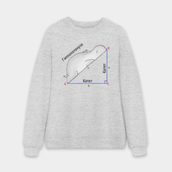 Мужской свитшот oversize без начеса хлопок Гиппопотинуза