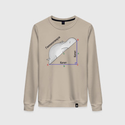 Женский свитшот хлопок Гиппопотинуза - бегемот геометрический