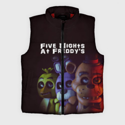 Мужской жилет утепленный 3D Five Nights At Freddy's