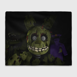 Плед 3D Five Nights At Freddy's