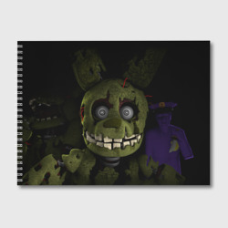 Альбом для рисования Five Nights At Freddy's