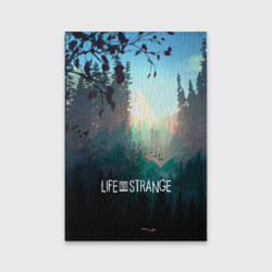 Обложка для паспорта матовая кожа Life is Strange