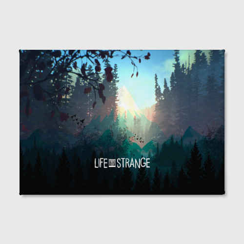 Холст прямоугольный Life is Strange, цвет 3D печать - фото 2