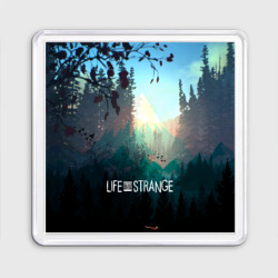 Магнит 55*55 Life is Strange