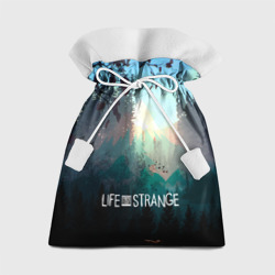 Подарочный 3D мешок Life is Strange