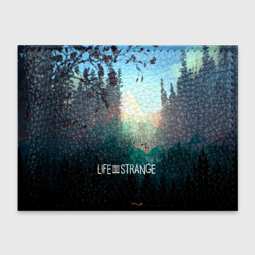 Обложка для студенческого билета Life is Strange