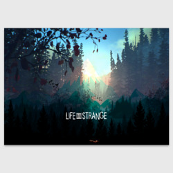 Поздравительная открытка Life is Strange