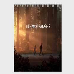 Скетчбук Life is Strange