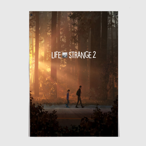 Постеры с принтом Life is Strange, вид спереди №1