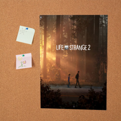 Постер с принтом Life is Strange для любого человека, вид спереди №2. Цвет основы: белый