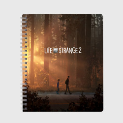 Тетрадь Life is Strange