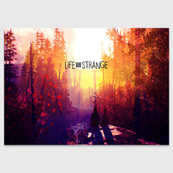 Поздравительная открытка Life is Strange