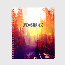 Тетрадь Life is Strange