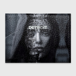Обложка для студенческого билета Detroit Become Human