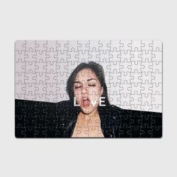 Головоломка Пазл магнитный 126 элементов Sasha Grey love