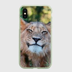 Чехол для iPhone XS Max матовый Улыбка львицы