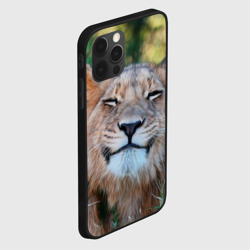Чехол для iPhone 12 Pro Улыбка львицы - фото 2