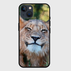 Чехол для iPhone 14 Улыбка львицы