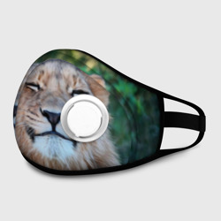 Маска из неопрена Улыбка львицы