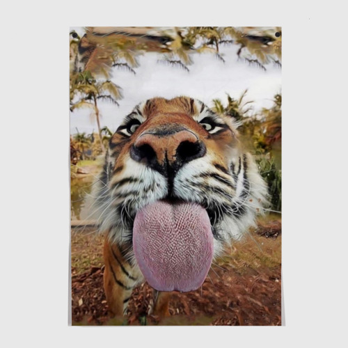 Постер Тигр показывает язык