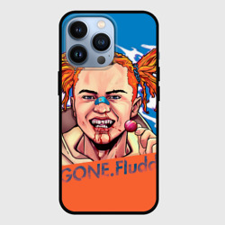 Чехол для iPhone 13 Pro Gone.Fludd art