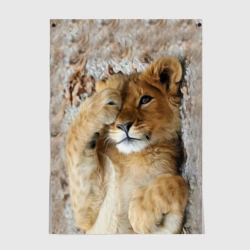 Постер Львенок