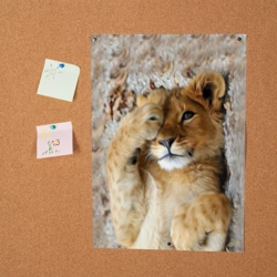 Постер Львенок - фото 2