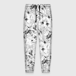 Мужские брюки 3D Cats - pattern