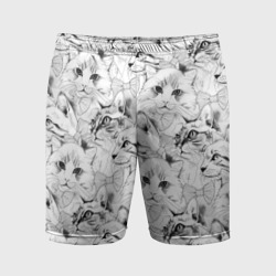 Мужские шорты спортивные Cats - pattern