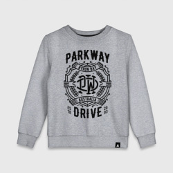 Детский свитшот хлопок Parkway Drive