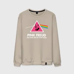 Мужской свитшот хлопок Pink Freud