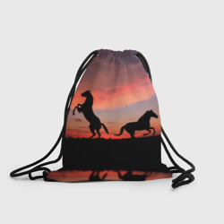Рюкзак-мешок 3D Кони на закате