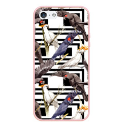 Чехол для iPhone 5/5S матовый Попугаи какаду