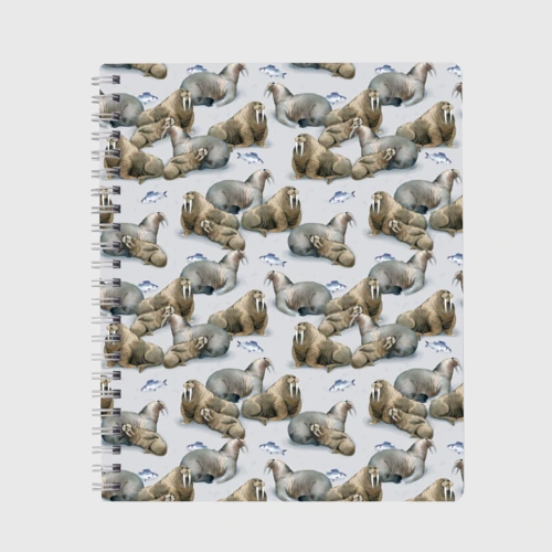 Тетрадь Моржи - семейство