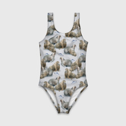 Детский купальник 3D Моржи - семейство - фото 2