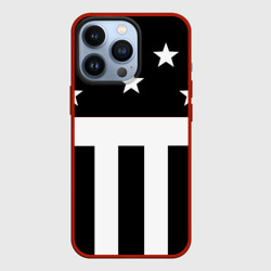 Чехол для iPhone 13 Pro Prodigy