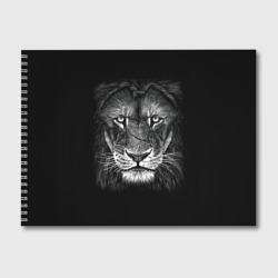 Альбом для рисования Lion Art