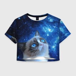 Сердитый кот в космосе