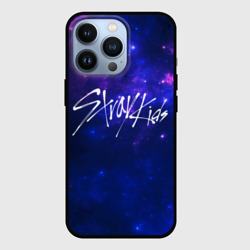 Чехол для iPhone 13 Pro Stray Kids