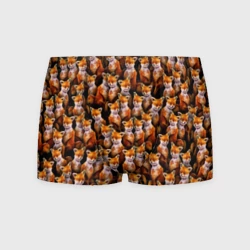 Мужские трусы 3D Упоротые лисы