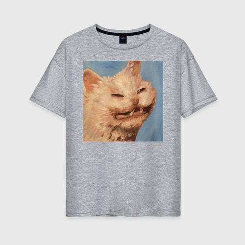 Женская футболка хлопок Oversize Мем кот, цвет меланж