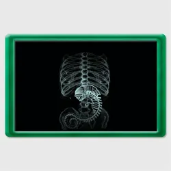 Магнит 45*70 Чужой на рентгене - костюм грудной клетки